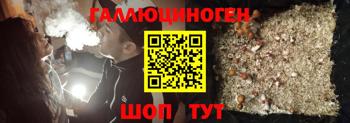 Рассказово  Псилоцибиновые грибы MAGIC MUSHROOMS  Вход с VPN 